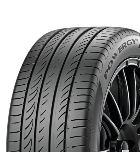 225/55R19 99 V POWERGY