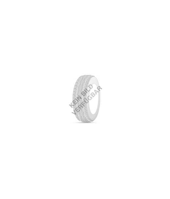 255/40R19 100 V SNOWTRAXX H/P